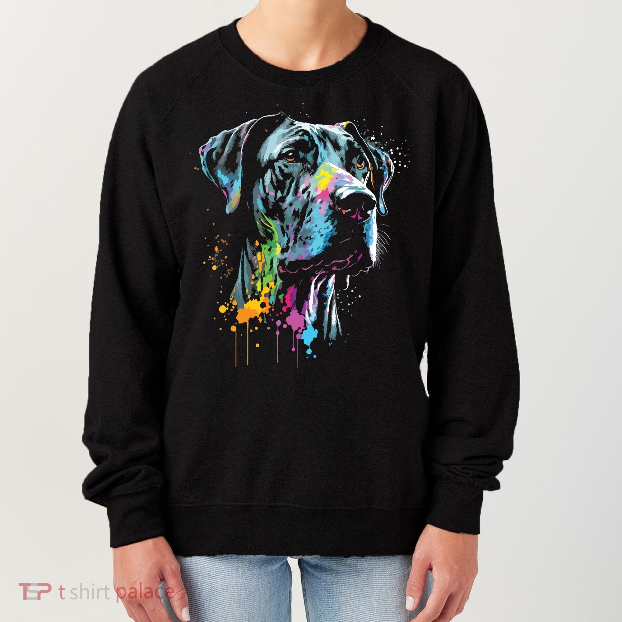 Great Dane Face Splash Art Portrait For Dog Owners Women's Sweatshirt