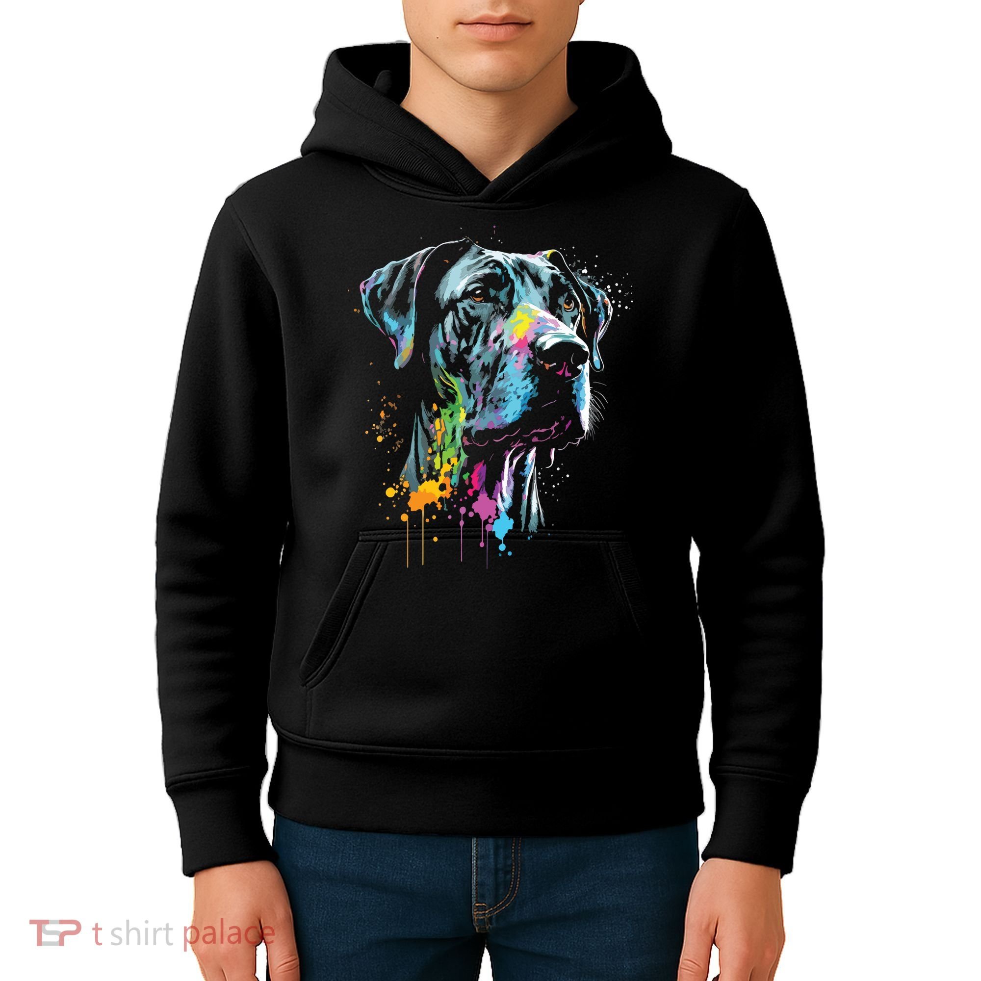 Great Dane Face Splash Art Portrait For Dog Owners Kids Hoodie