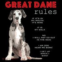 Great Dane Funny Great Dane Lover Women's T-Shirt thumb 6