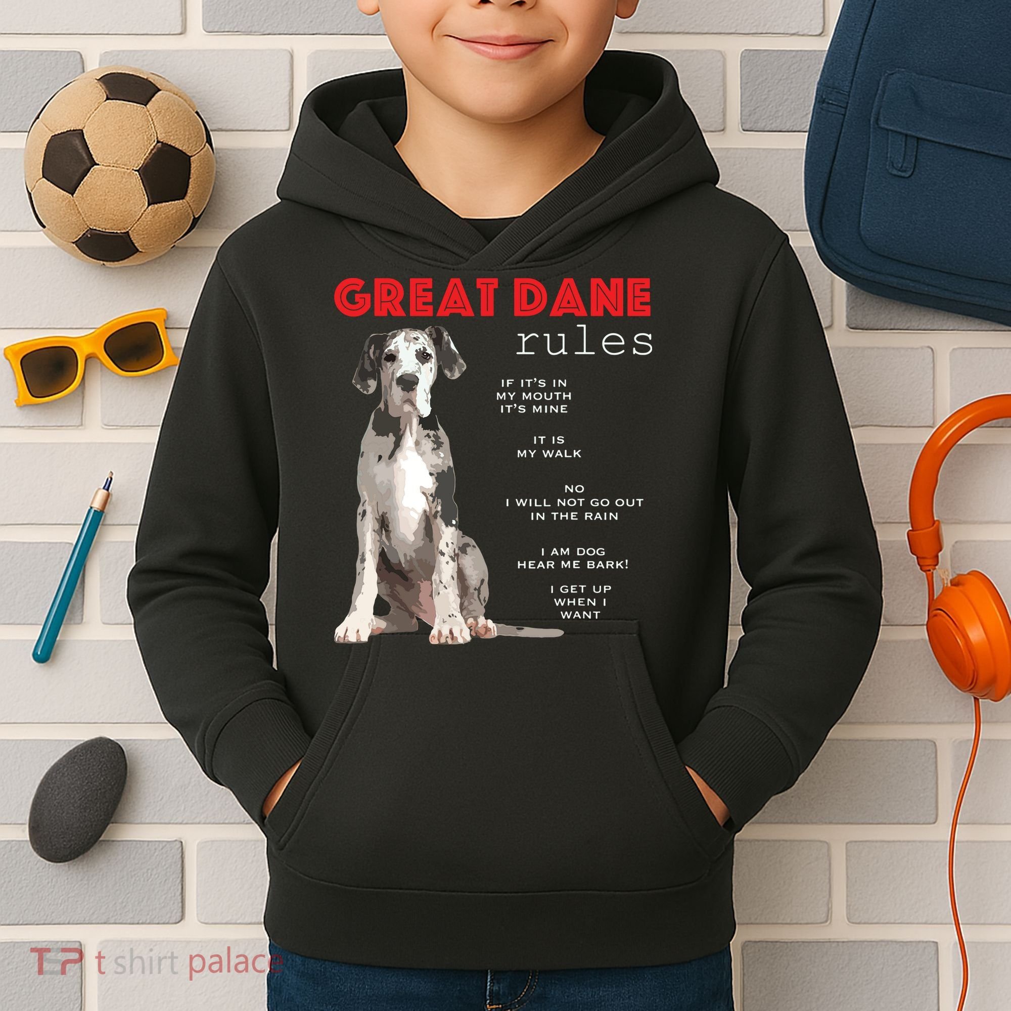 Great Dane Funny Great Dane Lover Kids Hoodie