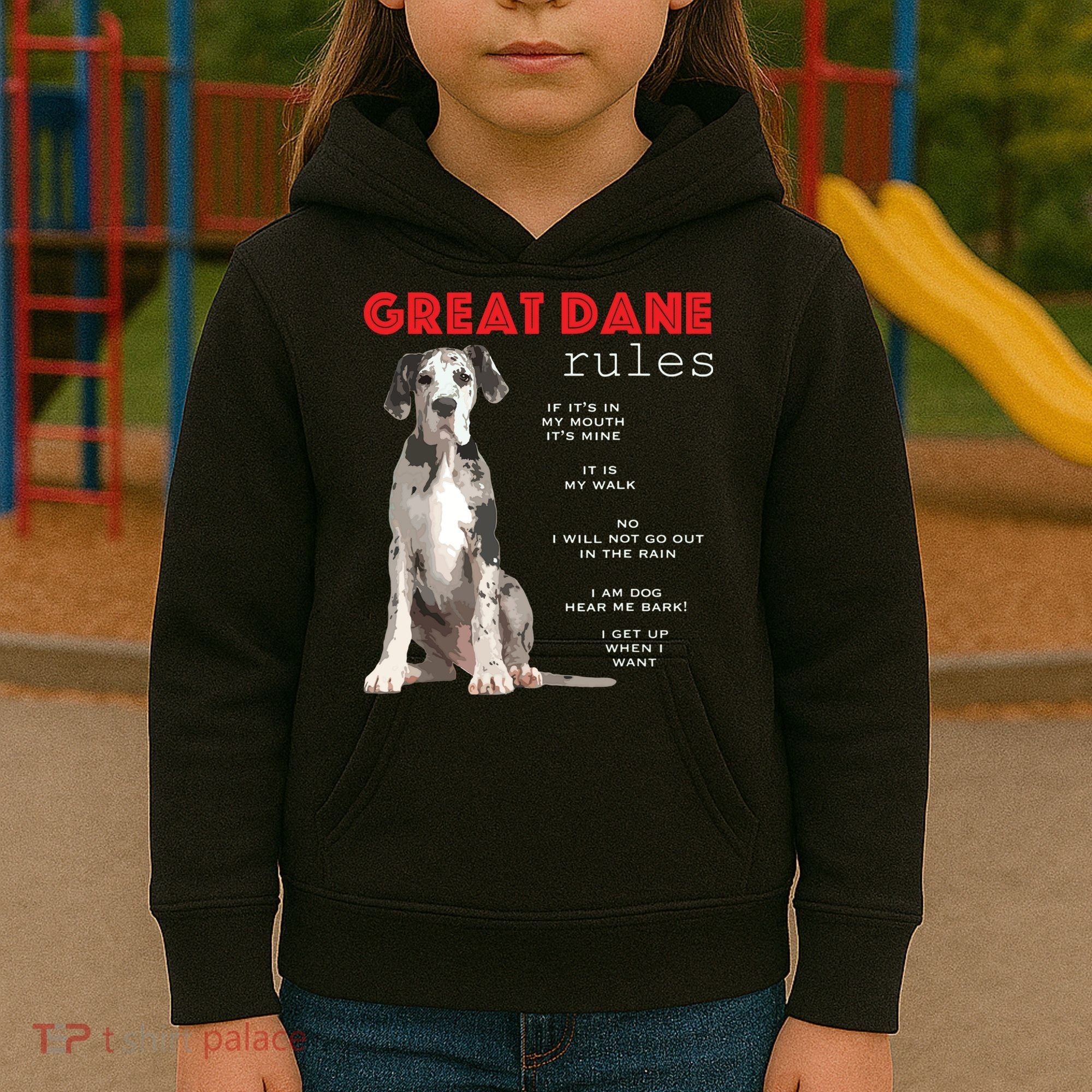 Great Dane Funny Great Dane Lover Kids Hoodie