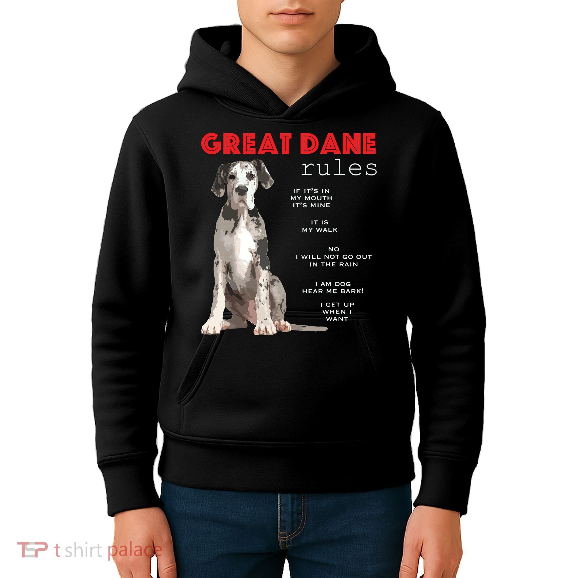Great Dane Funny Great Dane Lover Kids Hoodie