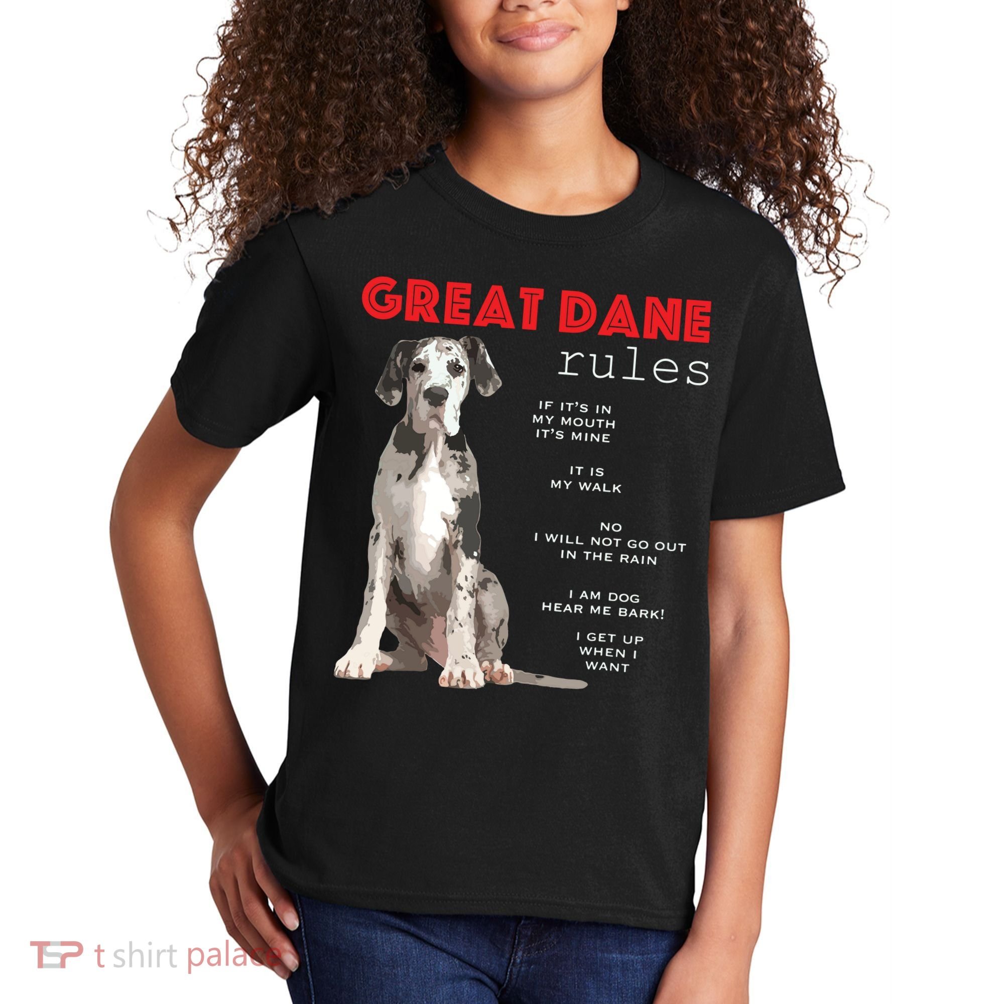 Great Dane Funny Great Dane Lover Kids T-Shirt