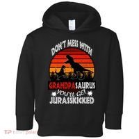 Grandpa Dinosaur Toddler Hoodie thumb 0