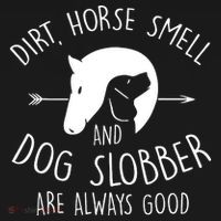 Gift Dirt Horse Smell & Dog Slobber Horse T-Shirt thumb 7