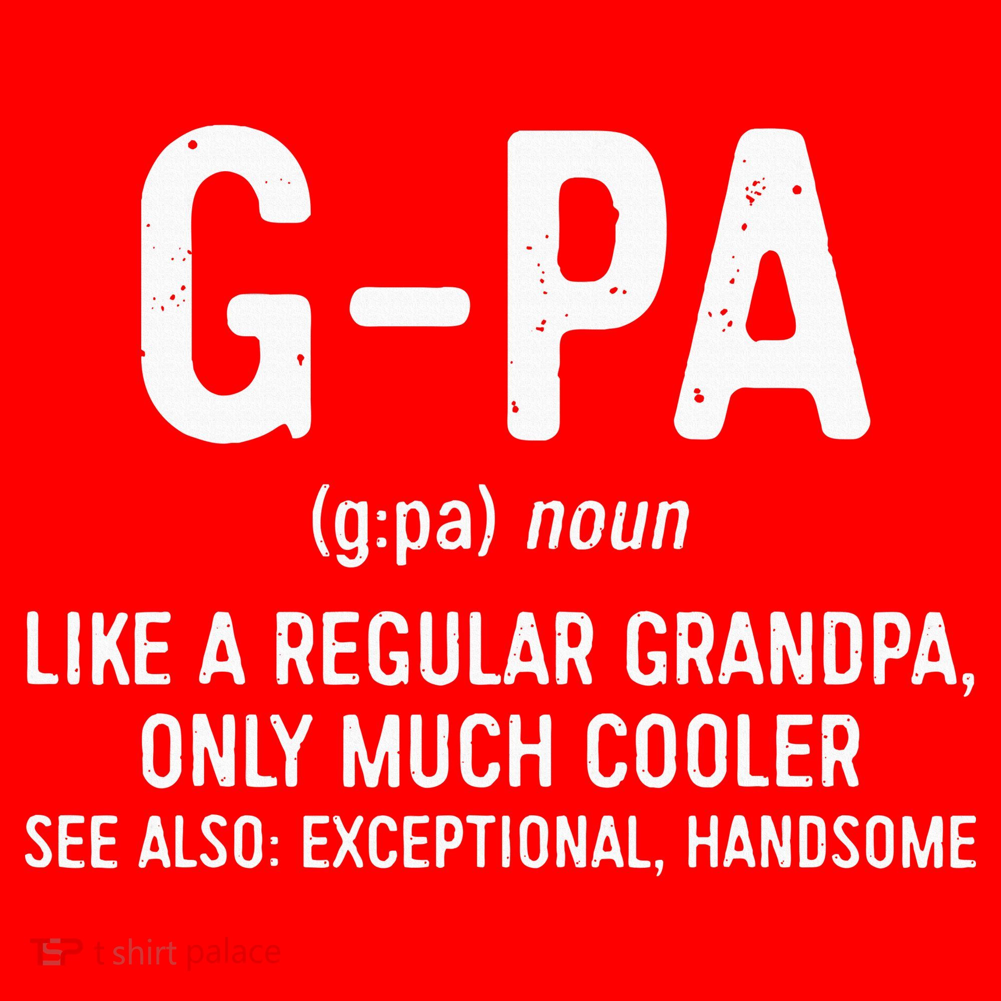 GPa Definition  Like A Regular Grandpa Only Cooler Santa Hat