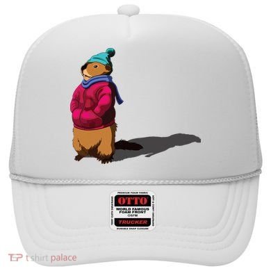 Groundhog Day Shadow Gift Ground Hog Hat