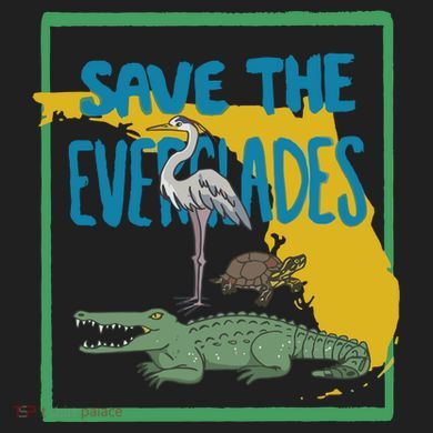 Gators Daily Save The Everglades Hat