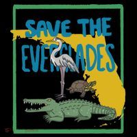 Gators Daily Save The Everglades Toddler T-Shirt thumb 4