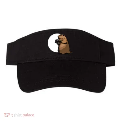Visor