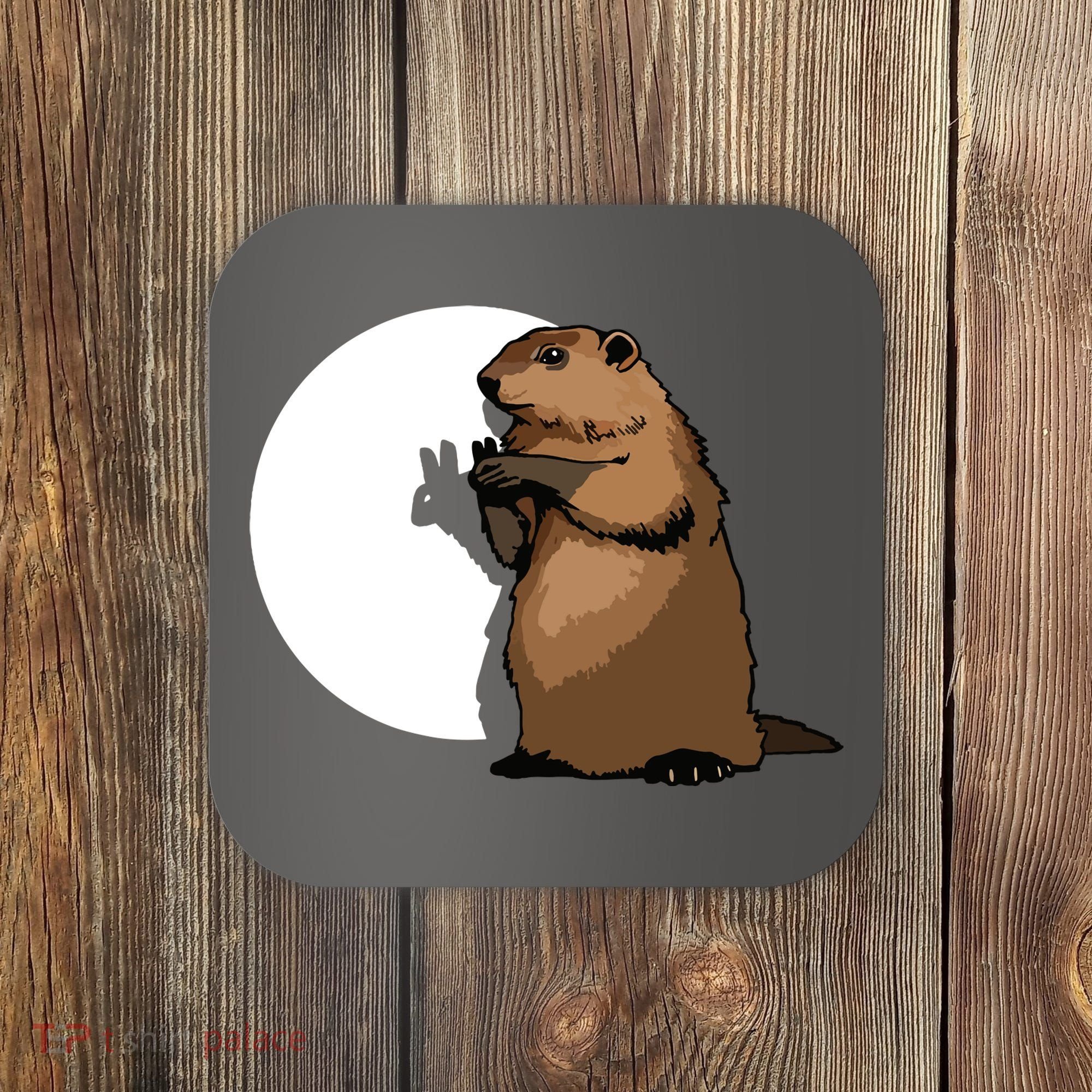 Groundhog Day Shadow Puppet Funny Gift Coaster