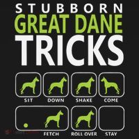 Great Dane Shirts Stubborn Great Dane Tricks Dog Hoodie thumb 7
