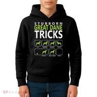 Great Dane Shirts Stubborn Great Dane Tricks Dog Kids Hoodie thumb 4