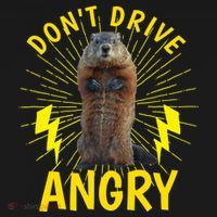 Groundhog Day Shirt Don't Drive Angry Ornament thumb 1