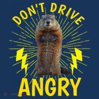 Groundhog Day Shirt Don't Drive Angry USA-Made Doggie Bandana thumb 2