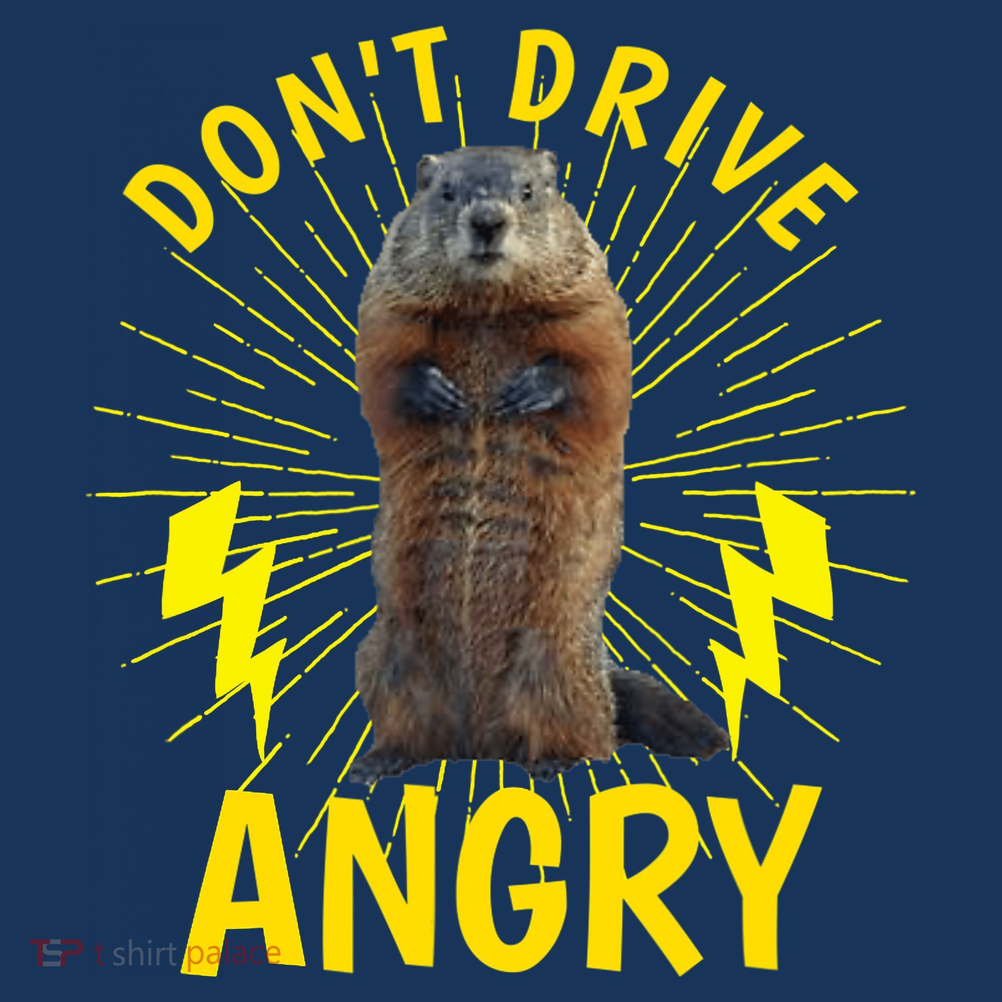 Groundhog Day Shirt Don't Drive Angry Women's Tank Top