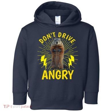 Groundhog Day Shirt Don't Drive Angry Toddler Hoodie
