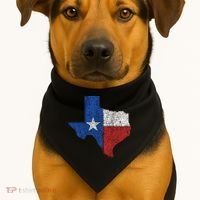 Grunge Distressed Texas Logo USA-Made Doggie Bandana thumb 1