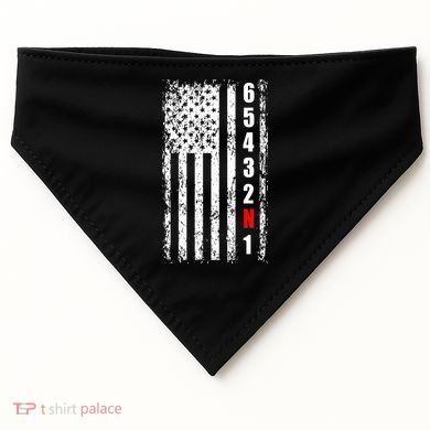 Gear Shift Racing Flag Neutral USA-Made Doggie Bandana
