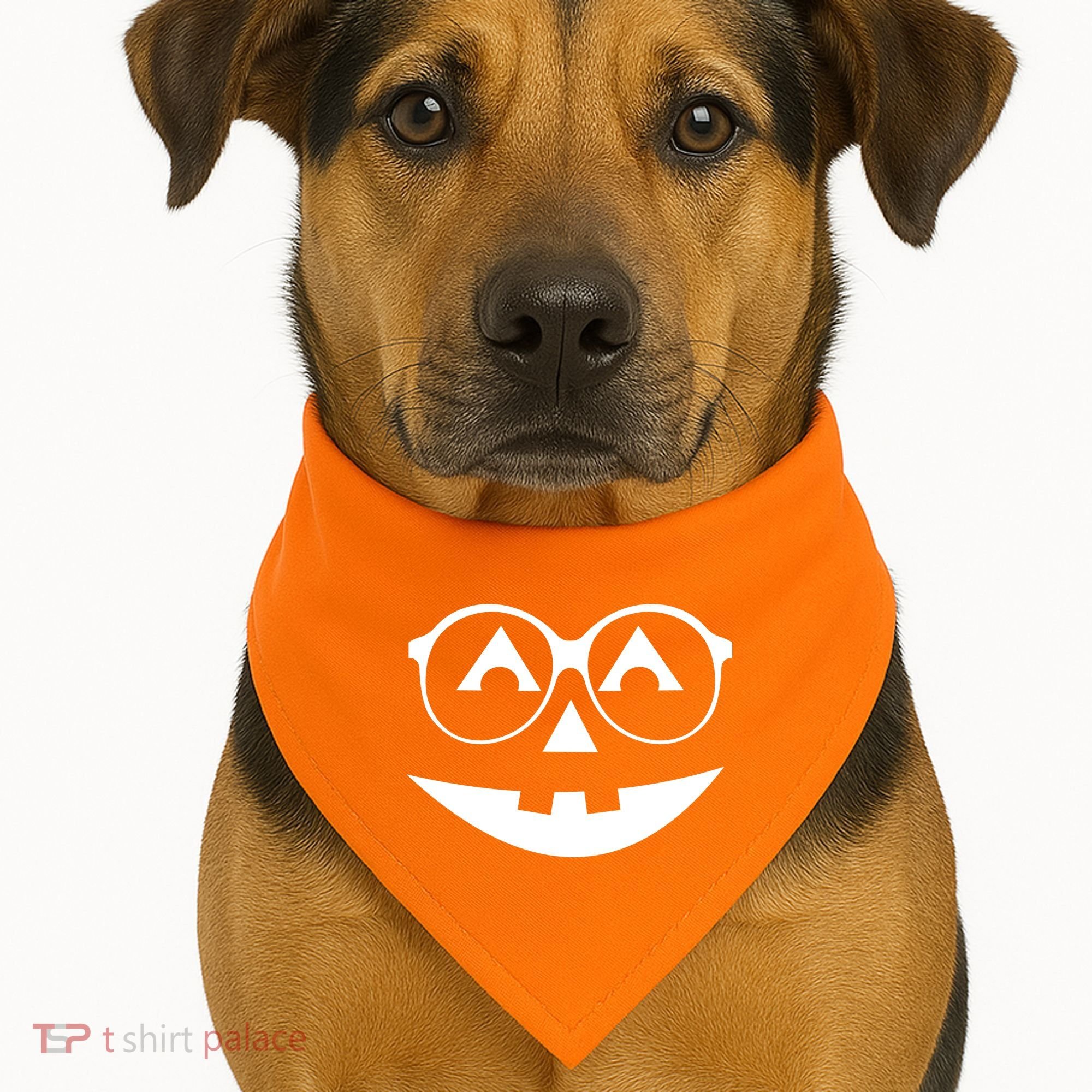 Geeky Pumpkin Jack O Lantern USA-Made Doggie Bandana