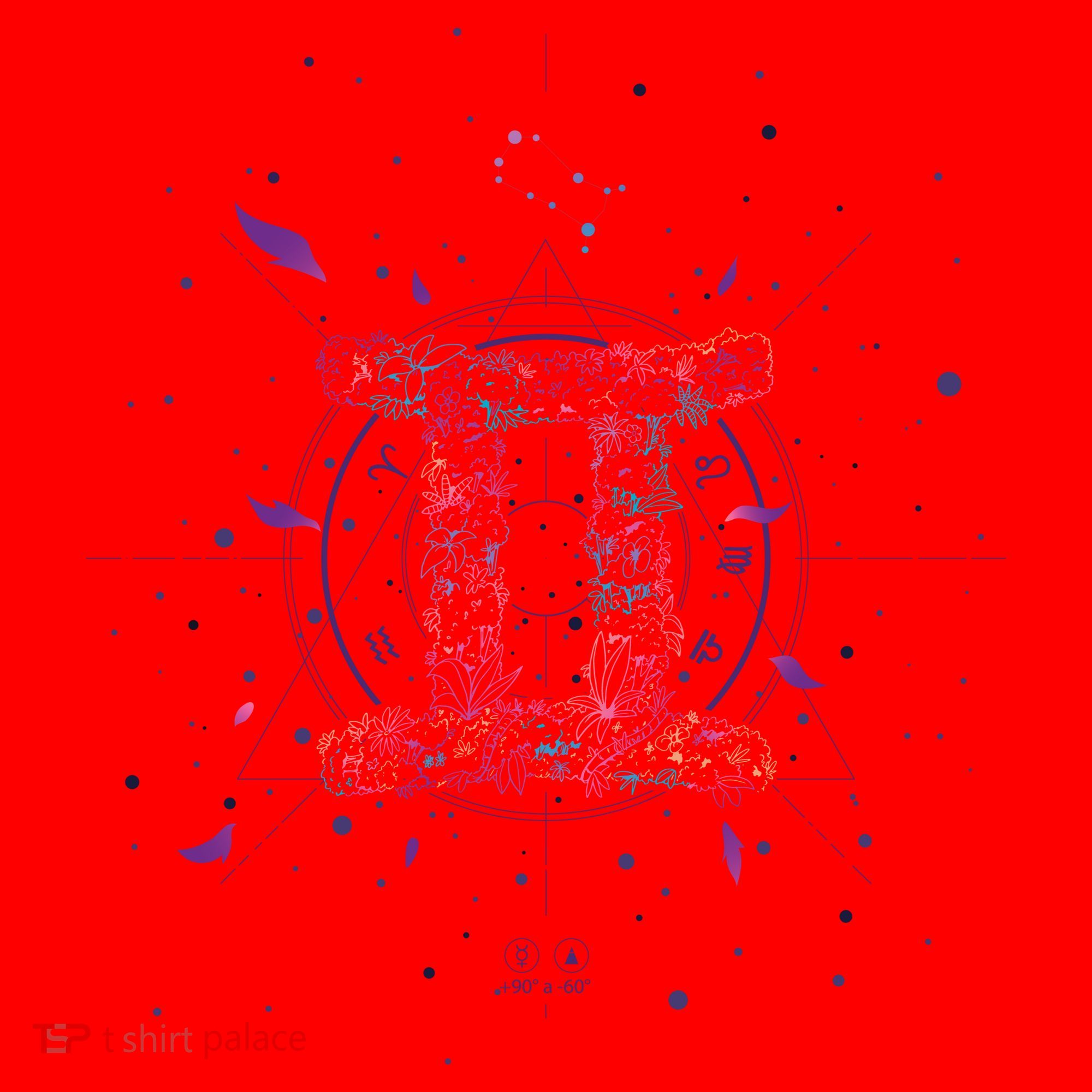 Gemeni Floral Zodiac Santa Hat