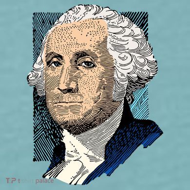 George Washington Portrait Sueded Cloud Jersey T-Shirt