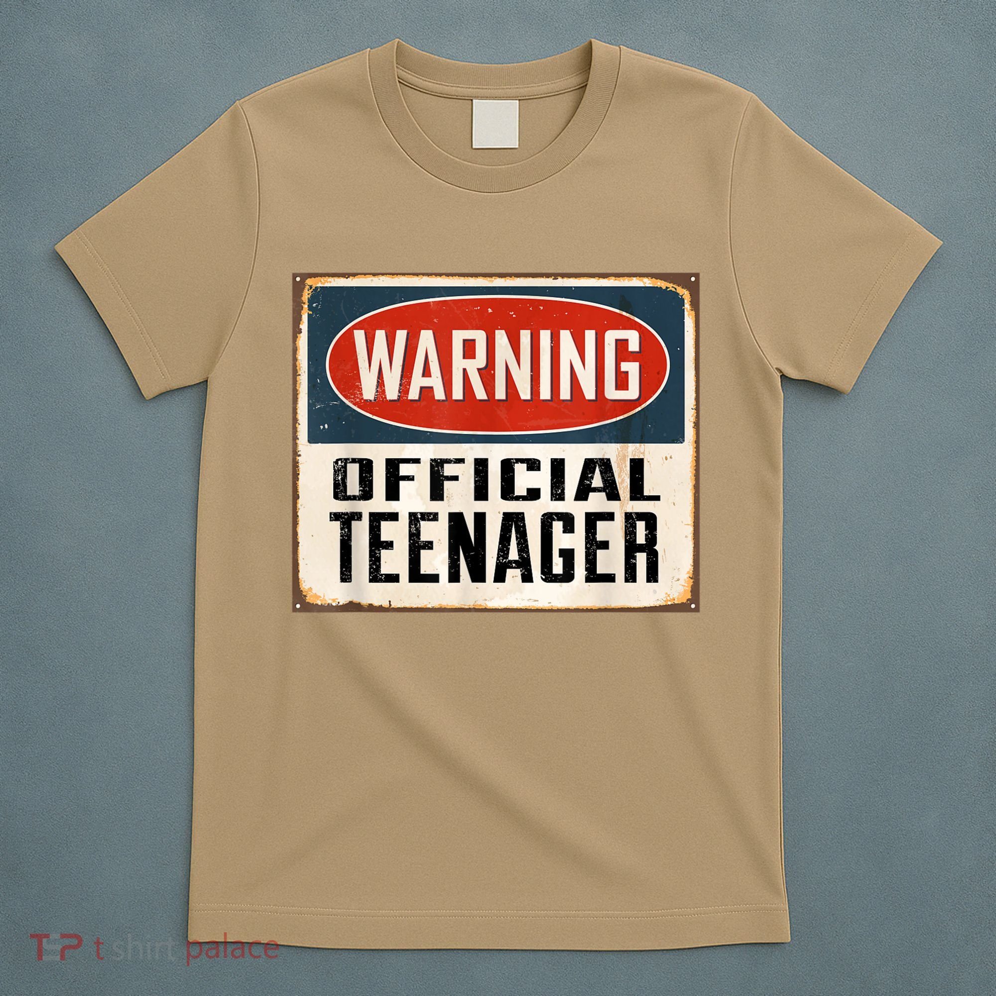 Gifts For 13 Year Old Boy Girls Birthday T-Shirt