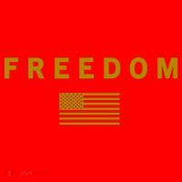 Gold Freedom American Values USA Flag Support Charlie Kirk Santa Hat thumb 1
