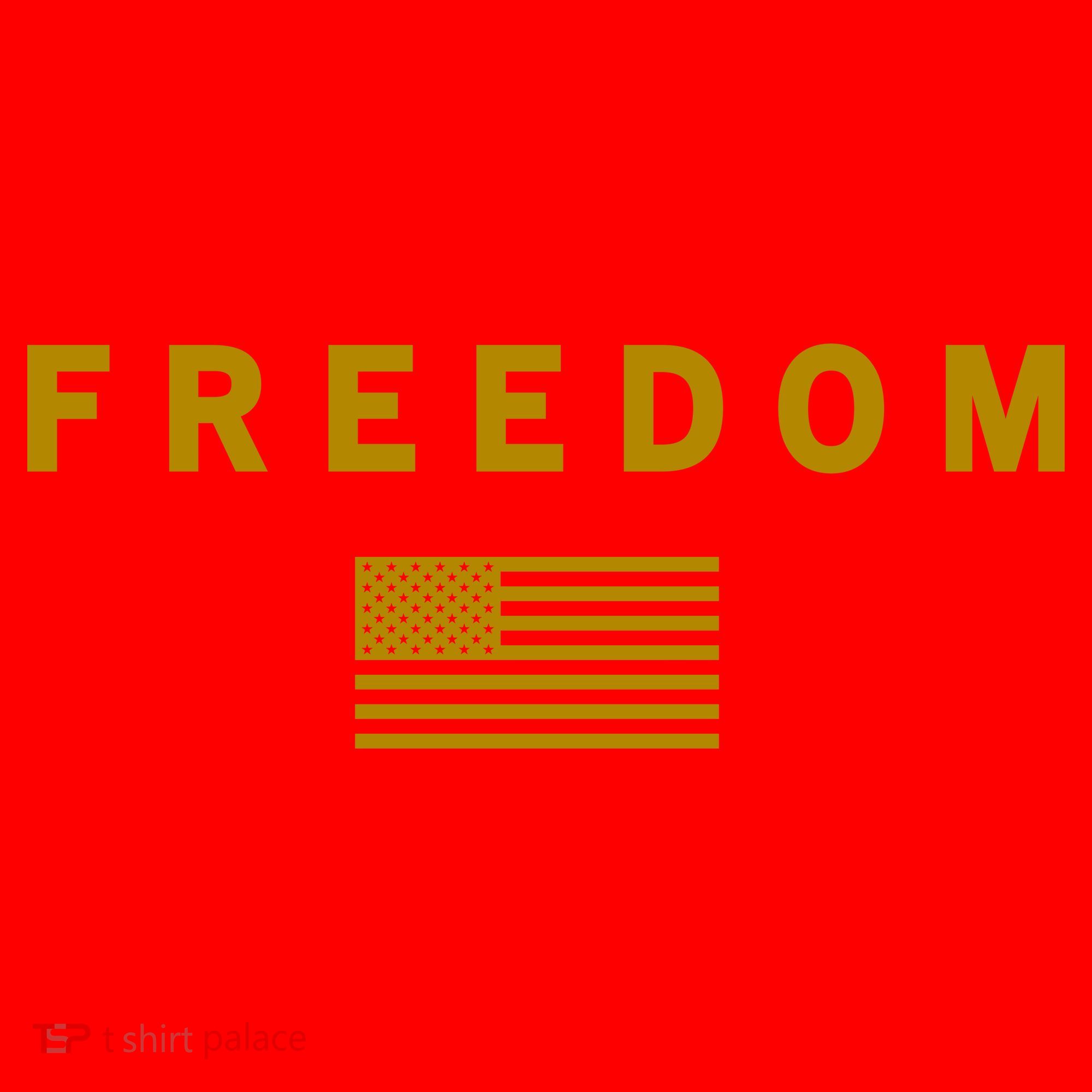 Gold Freedom American Values USA Flag Support Charlie Kirk Santa Hat