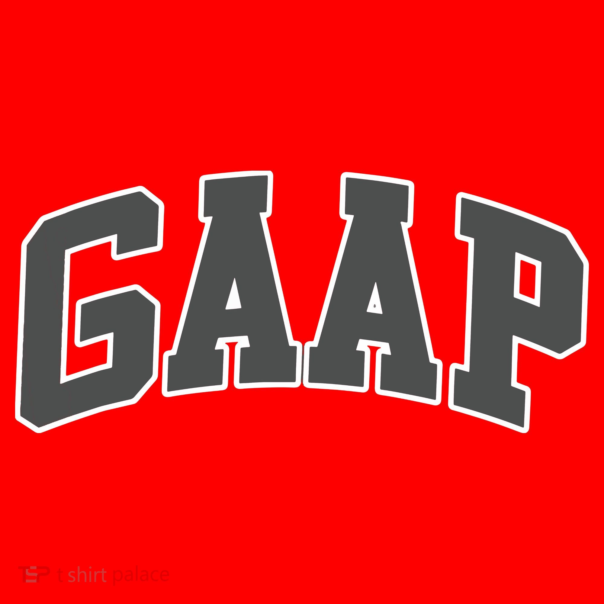 GAAP Funny Accountant T For CPA Gift Santa Hat