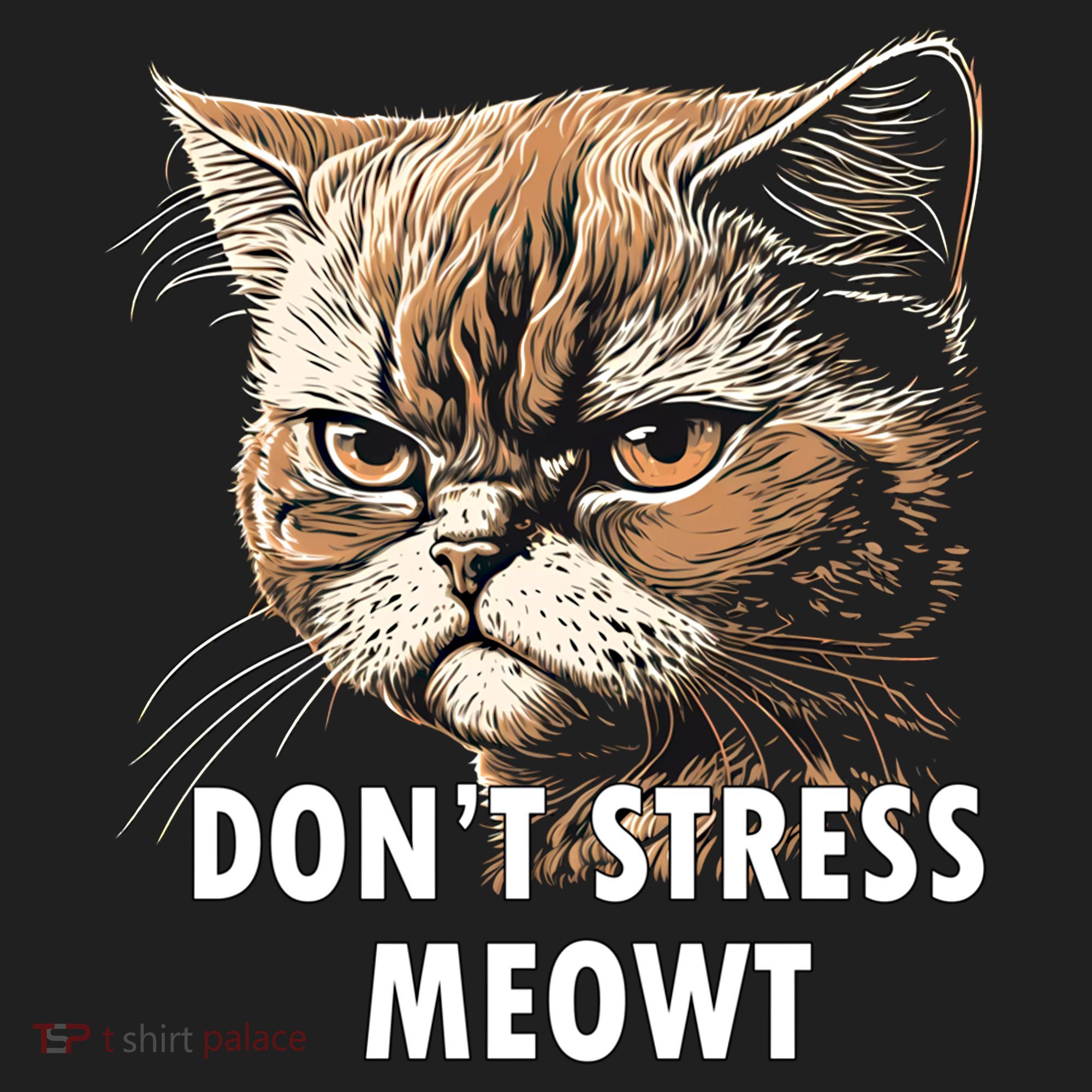 Grumpy Funny Cat Dont Stress Meowt Silly Cats Lover Gift Hat