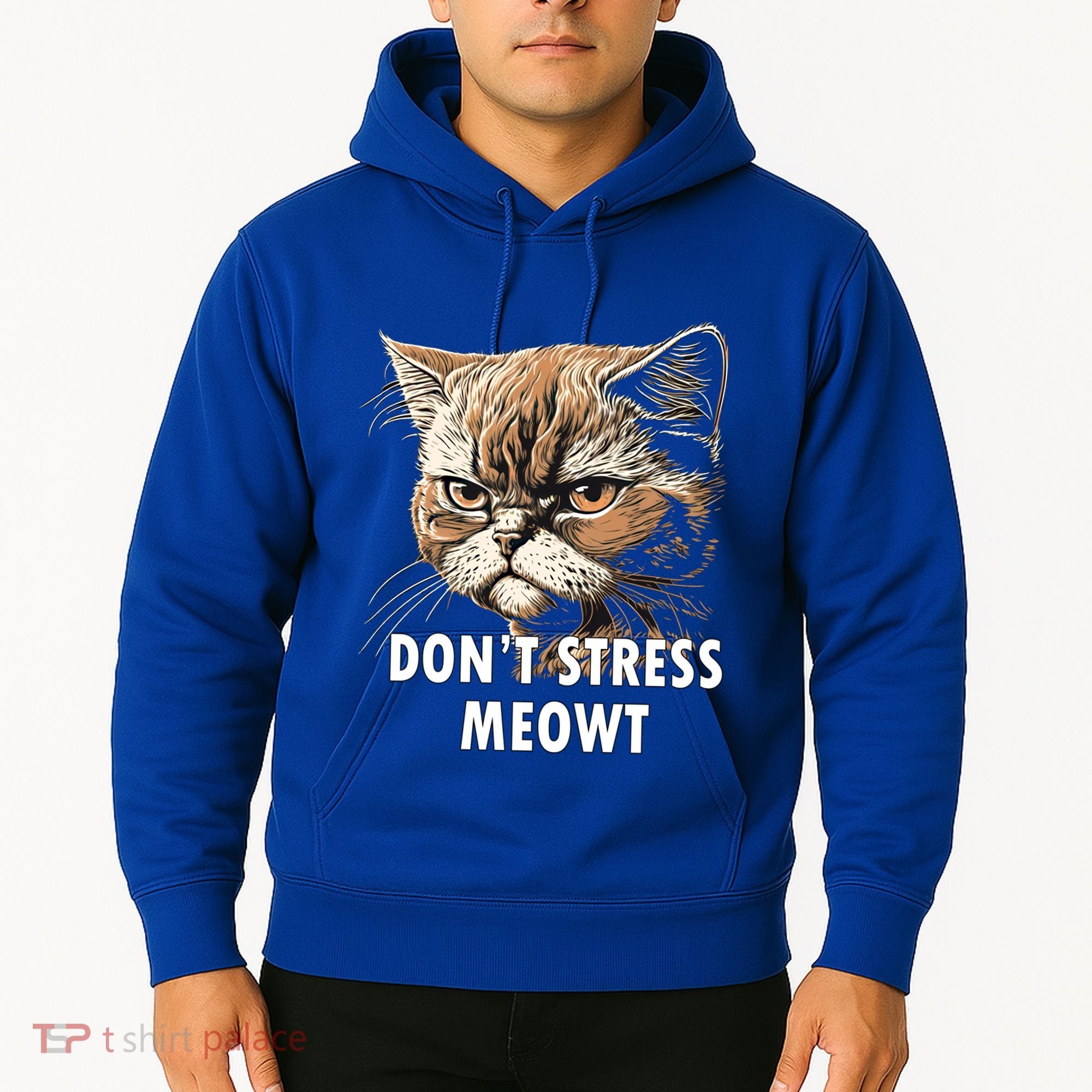 Grumpy Funny Cat Dont Stress Meowt Silly Cats Lover Gift Hoodie
