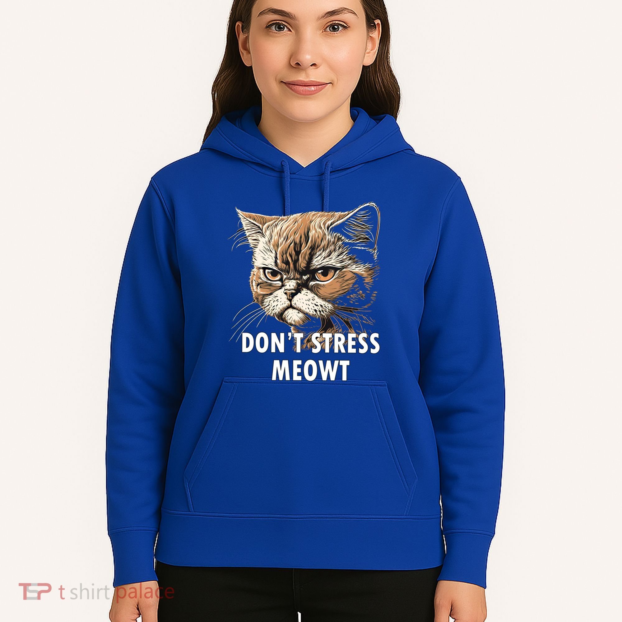 Grumpy Funny Cat Dont Stress Meowt Silly Cats Lover Gift Hoodie