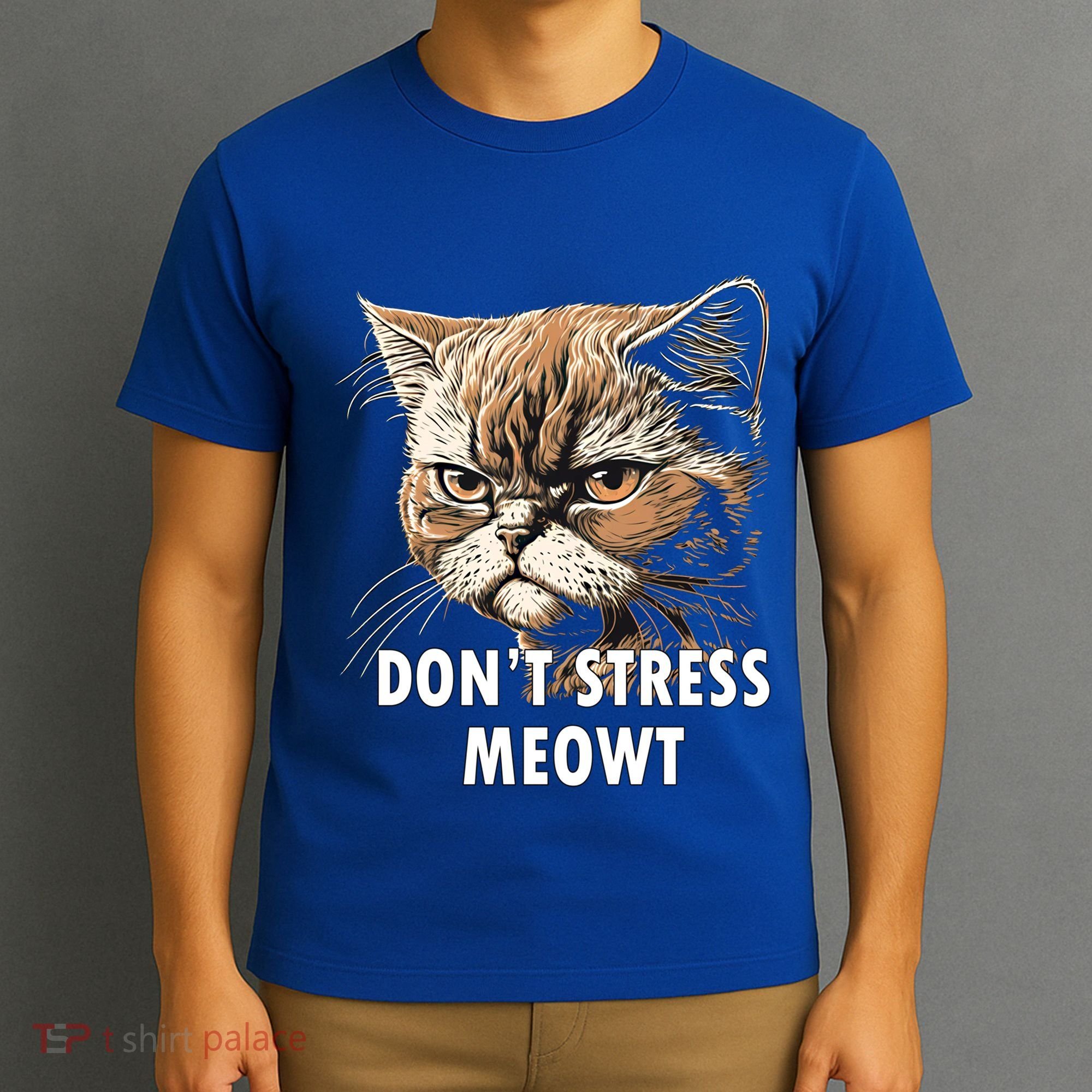 Grumpy Funny Cat Dont Stress Meowt Silly Cats Lover Gift T-Shirt