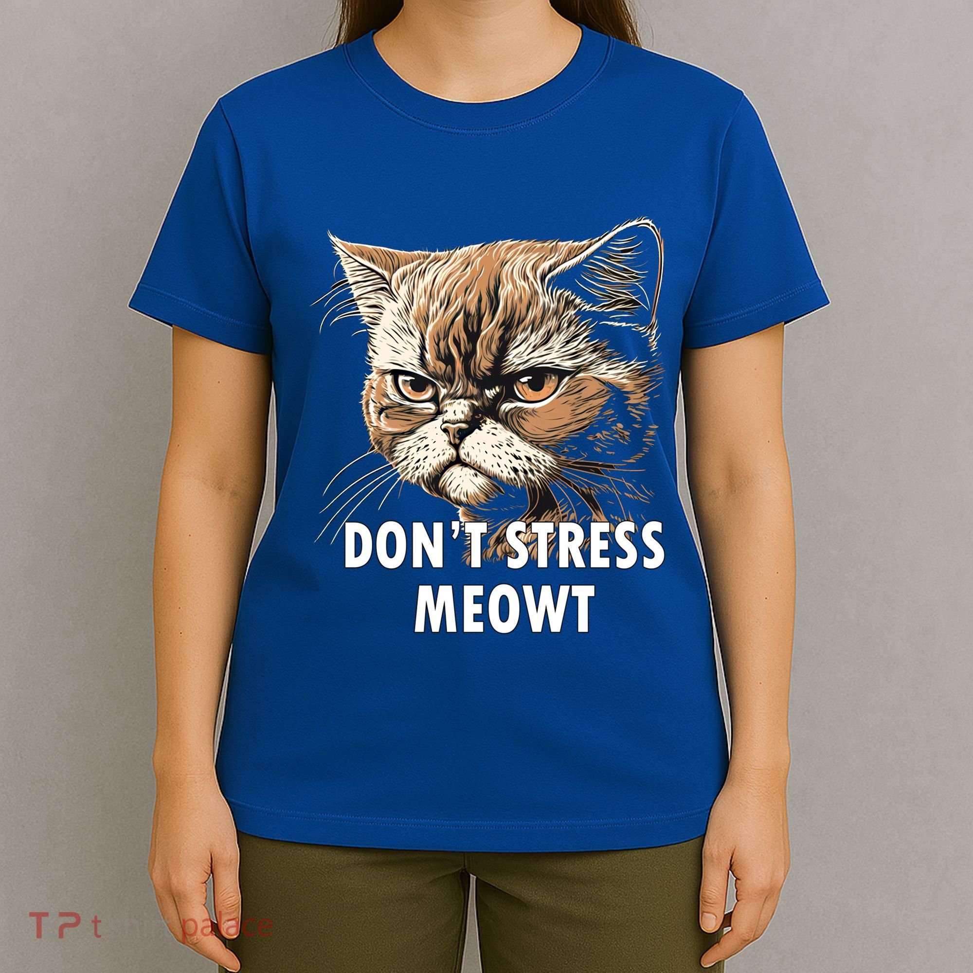 Grumpy Funny Cat Dont Stress Meowt Silly Cats Lover Gift T-Shirt