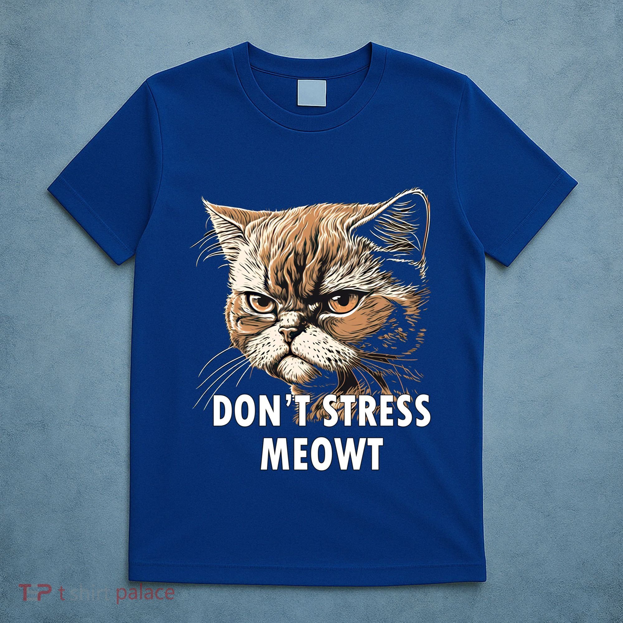 Grumpy Funny Cat Dont Stress Meowt Silly Cats Lover Gift T-Shirt