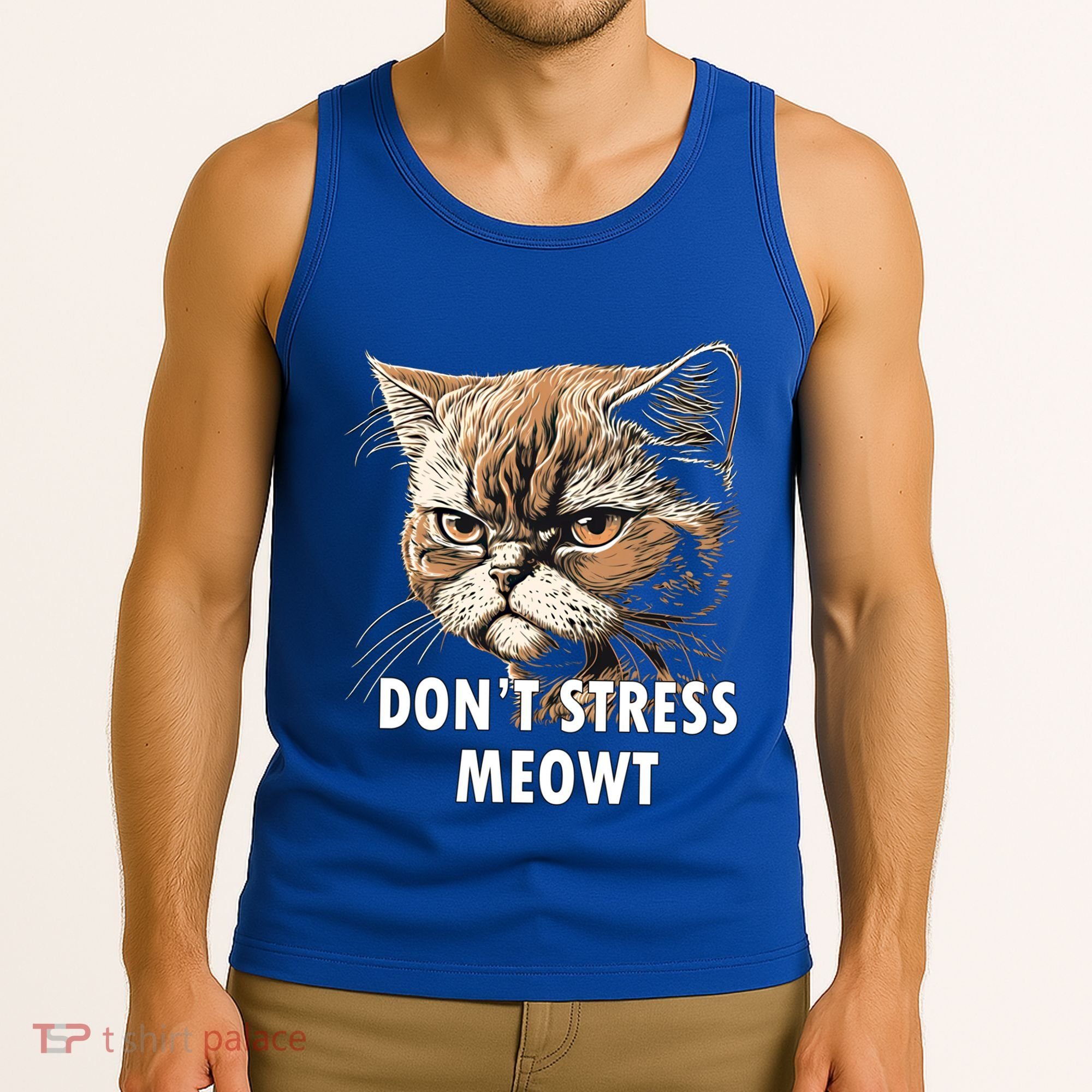 Grumpy Funny Cat Dont Stress Meowt Silly Cats Lover Gift Tank Top