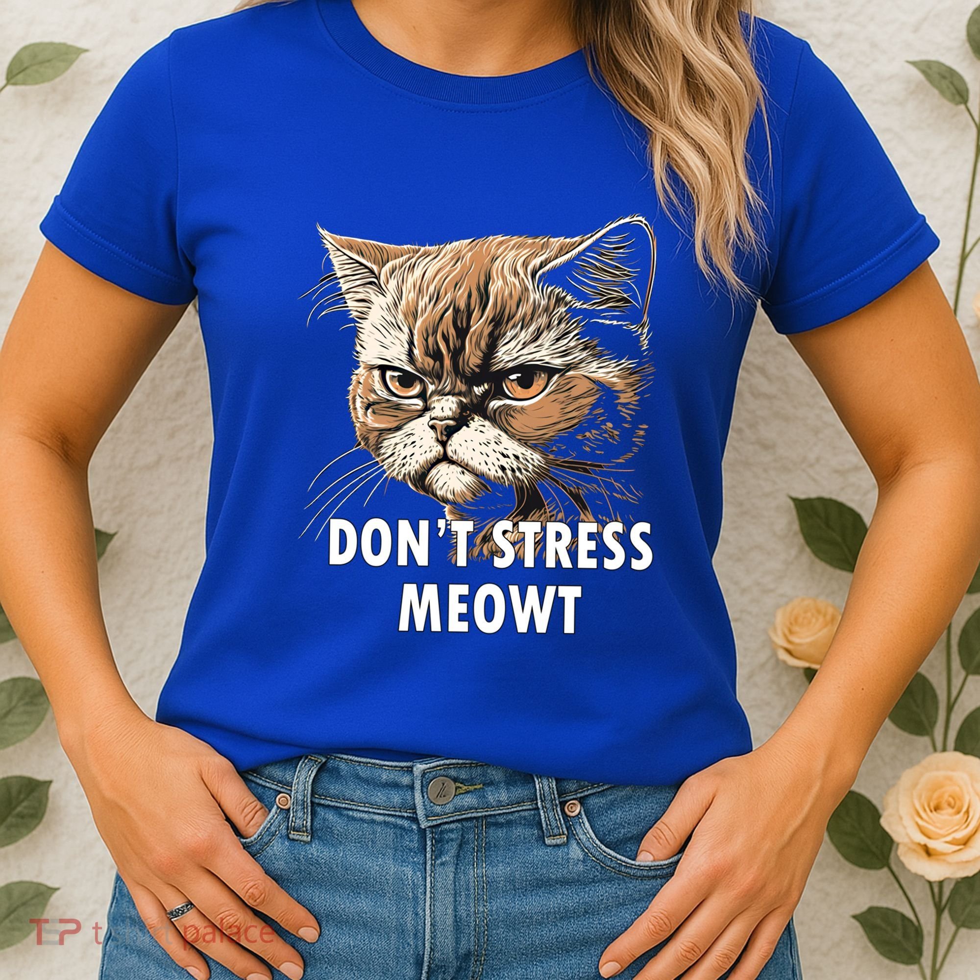 Grumpy Funny Cat Dont Stress Meowt Silly Cats Lover Gift Women's T-Shirt