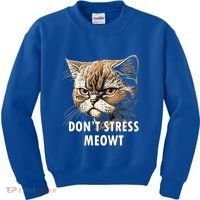 Grumpy Funny Cat Dont Stress Meowt Silly Cats Lover Gift Kids Sweatshirt thumb 0