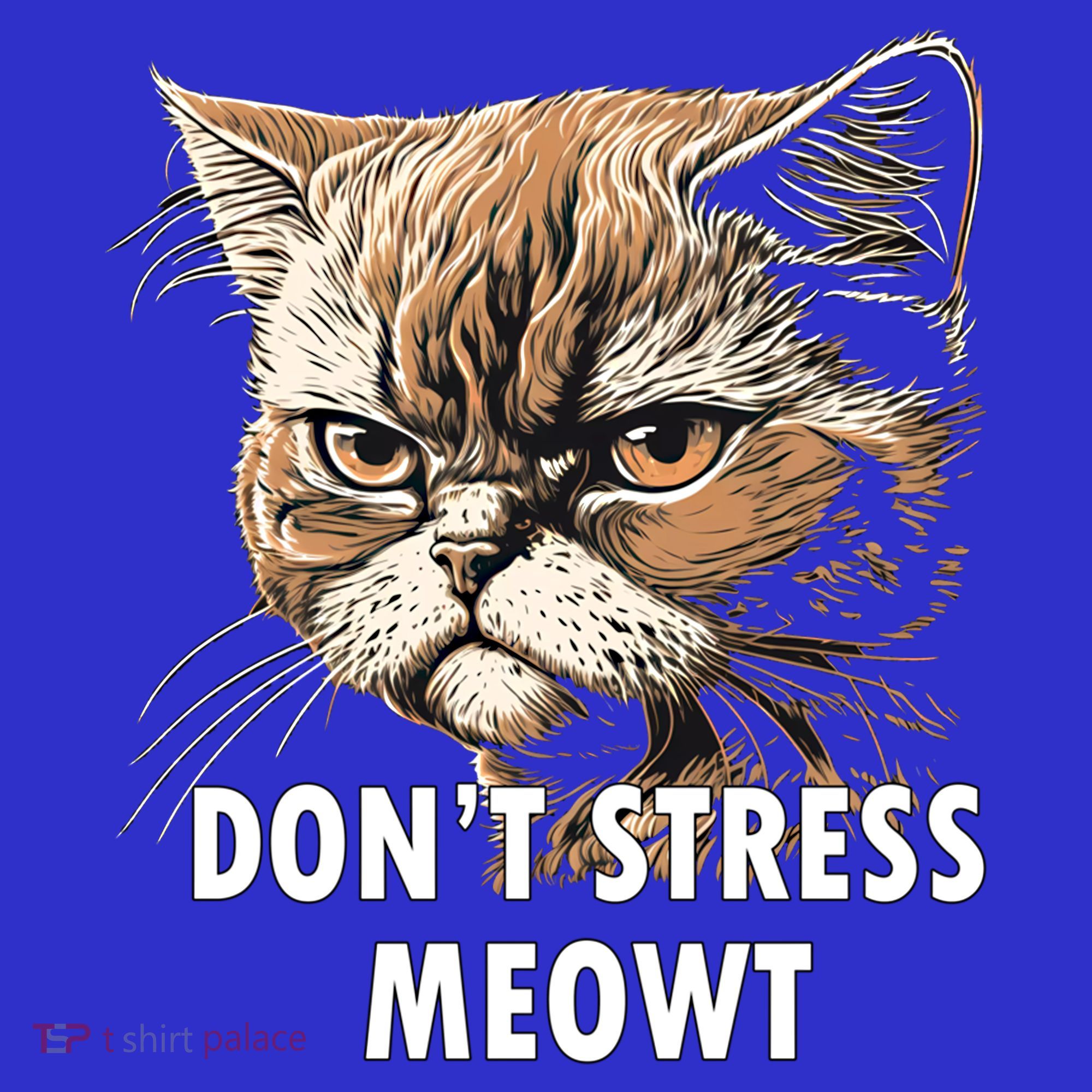 Grumpy Funny Cat Dont Stress Meowt Silly Cats Lover Gift Kids Sweatshirt