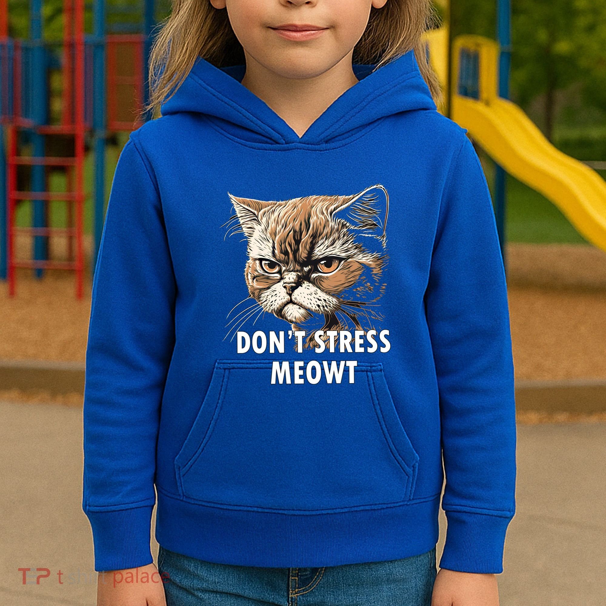 Grumpy Funny Cat Dont Stress Meowt Silly Cats Lover Gift Kids Hoodie