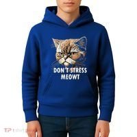 Grumpy Funny Cat Dont Stress Meowt Silly Cats Lover Gift Kids Hoodie thumb 4