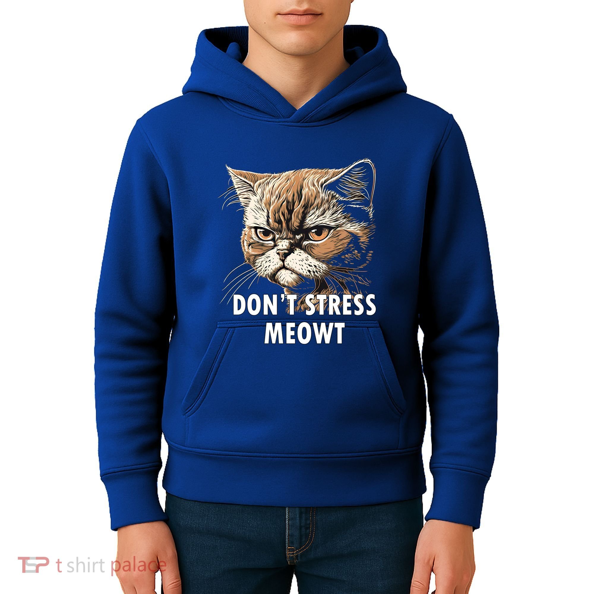 Grumpy Funny Cat Dont Stress Meowt Silly Cats Lover Gift Kids Hoodie