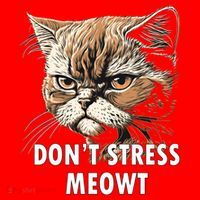 Grumpy Funny Cat Dont Stress Meowt Silly Cats Lover Gift Santa Hat thumb 1