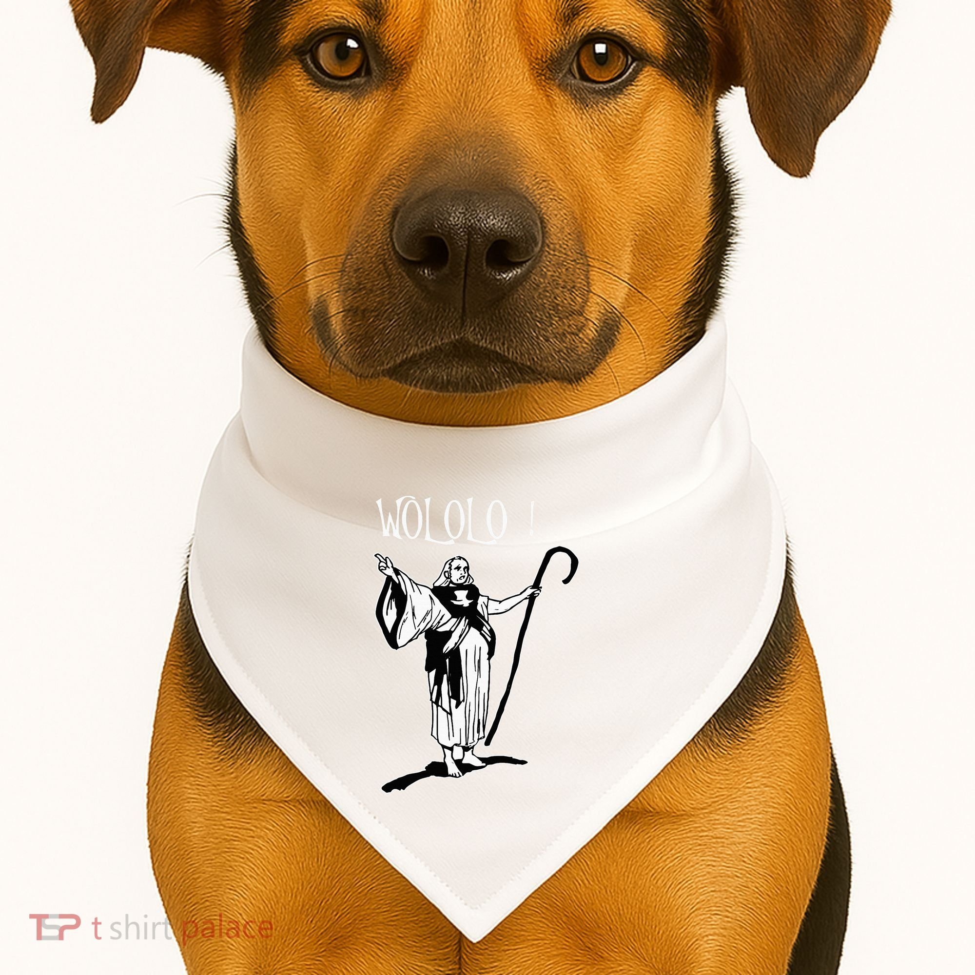 Geek For Empire Game Fans Monk Age Wololo USA-Made Doggie Bandana