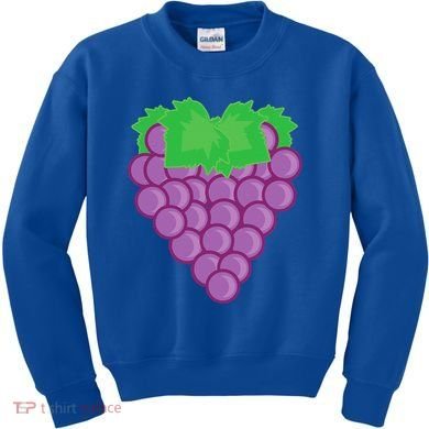 Grape Fruit Easy Lazy DIY Halloween Costume Kids Sweatshirt