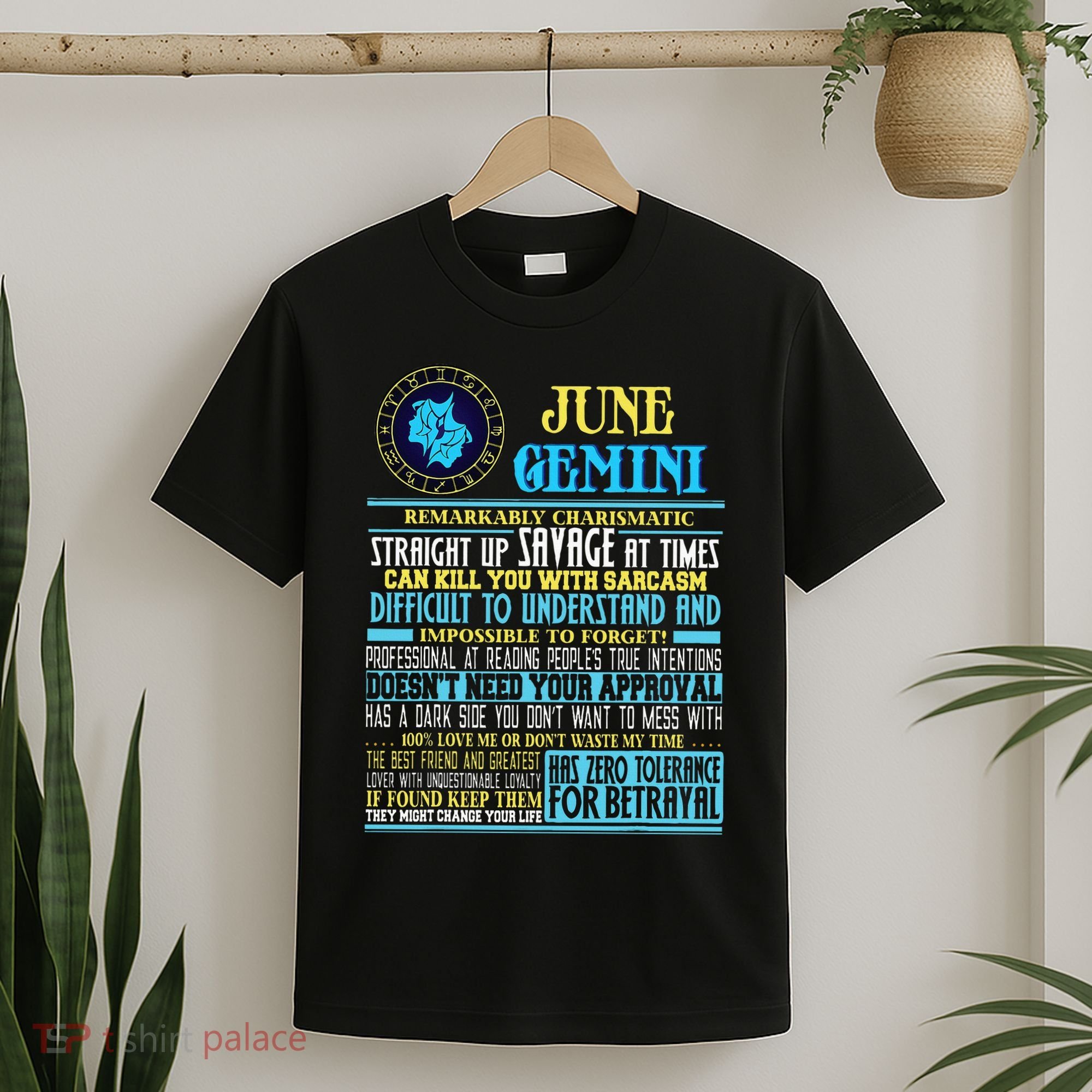 Gemini Facts Funny June Gemini Birthday Gif T-Shirt