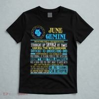Gemini Facts Funny June Gemini Birthday Gif T-Shirt thumb 5