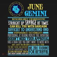 Gemini Facts Funny June Gemini Birthday Gif Women's Hoodie thumb 2
