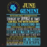 Gemini Facts Funny June Gemini Birthday Gif Tumbler thumb 3